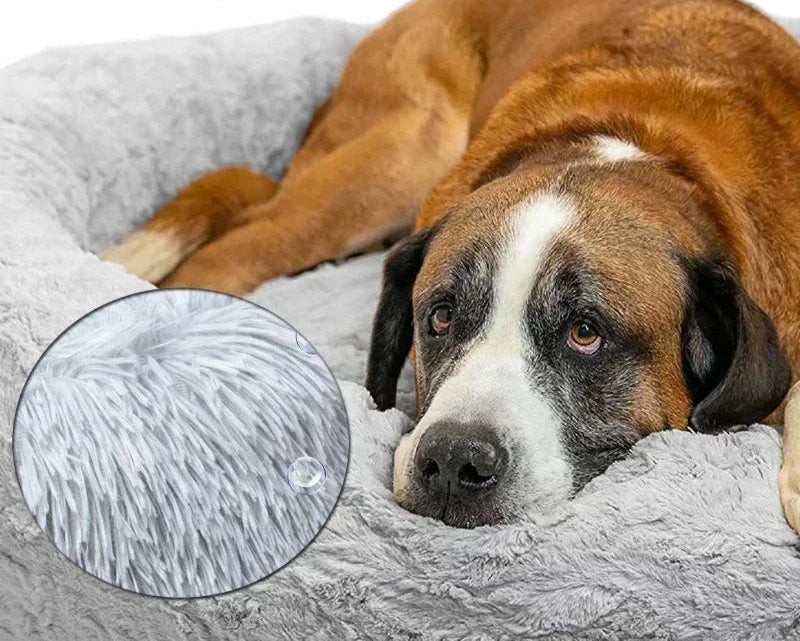 Giant Human Dog Bed - FIts You and Your Pets!