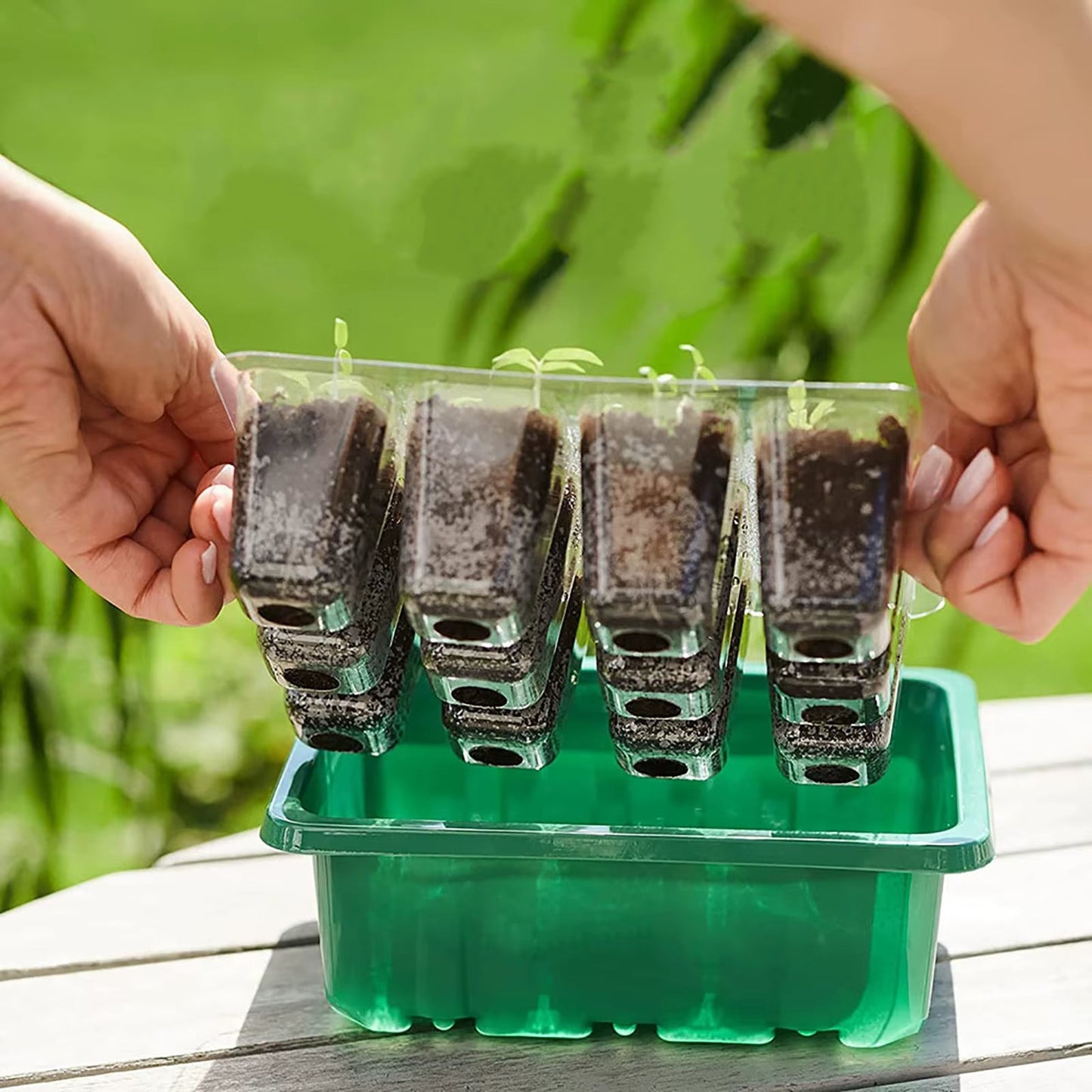 Indoor Garden Starter Kit