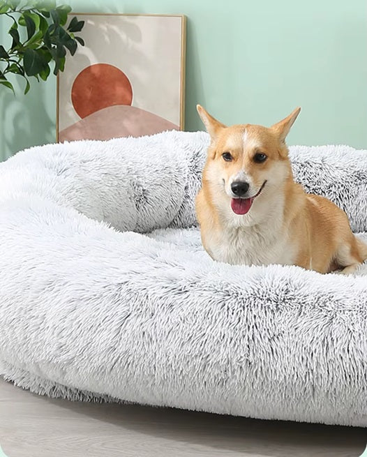 10% Off! Giant Human Dog Bed - FIts You and Your Pets!